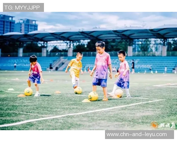 悠然走天下足球畅游绿茵场尽享激情与梦想的完美结合